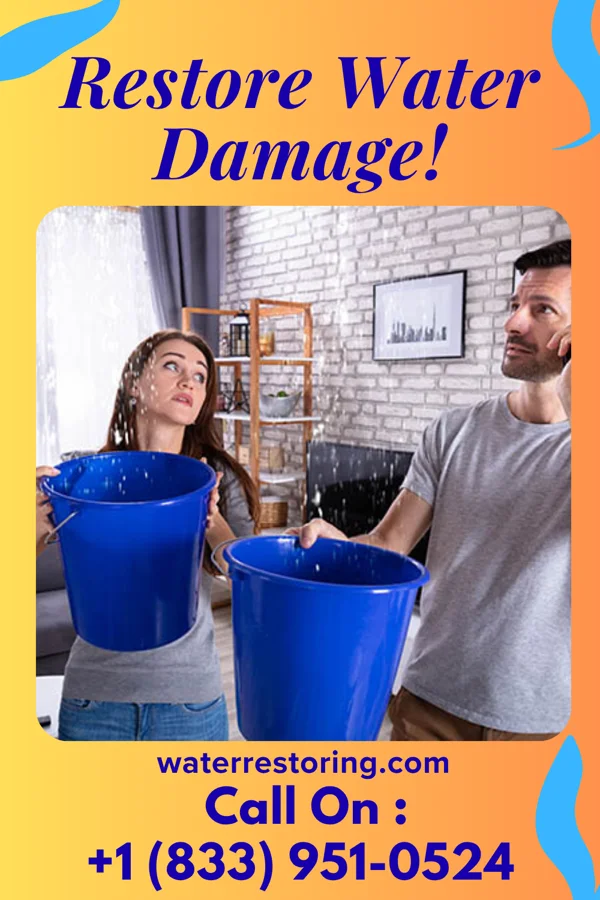water restoration Pro Recovery & Sons Millington