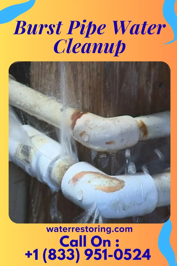 Burst Pipe Water Cleanup in Millington, MD