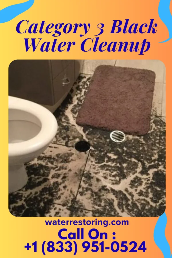 Category 3 Black Water Cleanup in Millington, MD