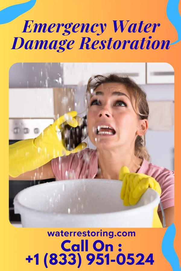 Emergency Water Damage Restoration in Millington, MD