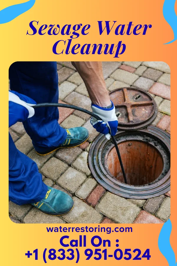 Sewage Water Cleanup in Millington, MD