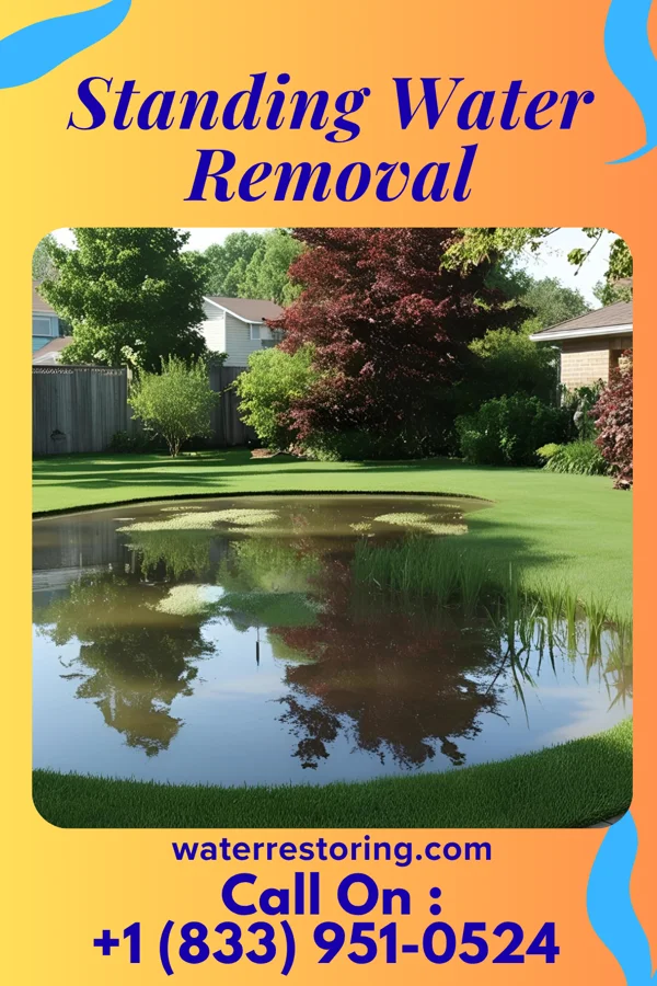 Standing Water Removal in Millington, MD
